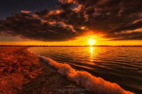 /album/fenykepgaleria/a615078-747617088586577-281222313-o-jpg/