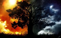/album/fenykepgaleria/baum-jpg/