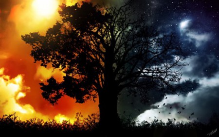 Baum